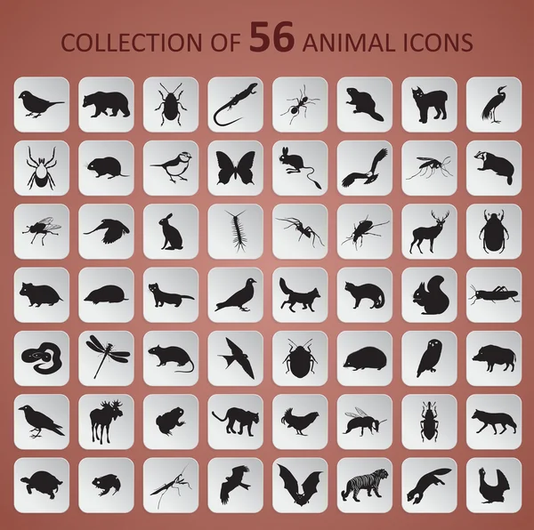 Animal Icons — Stockvektor