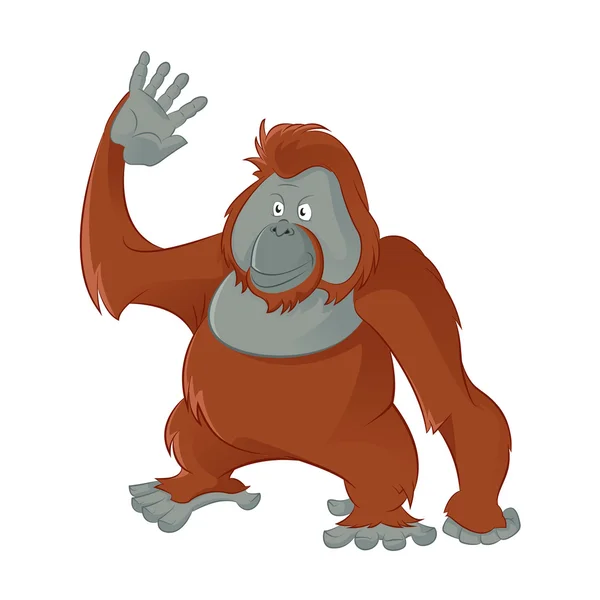 Orangután — Stock Vector