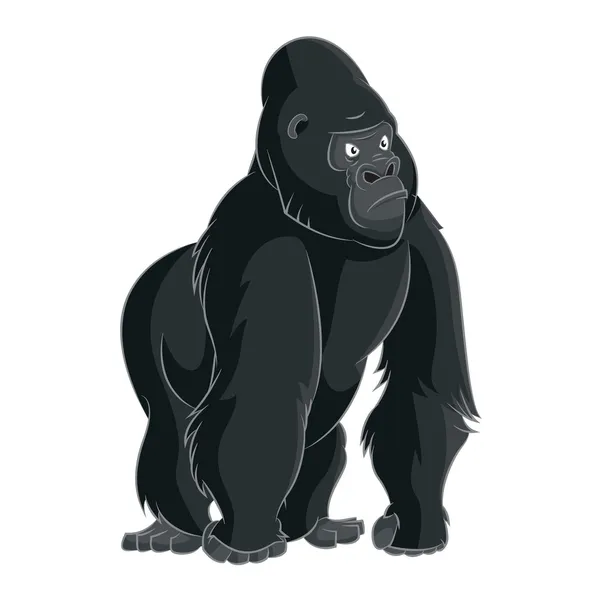 Gorilla — Stockvektor