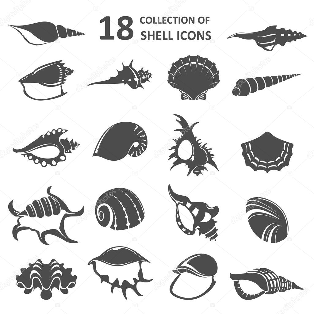 Collection of shell icons