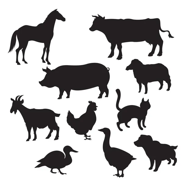 Siluety domácích zvířat — Stockový vektor