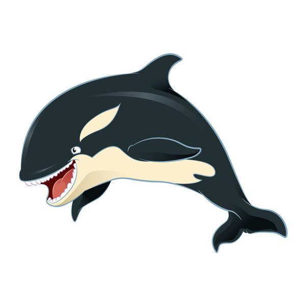 Killer whale