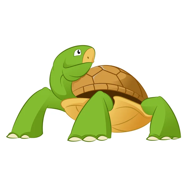 Turtle — Stock Vector