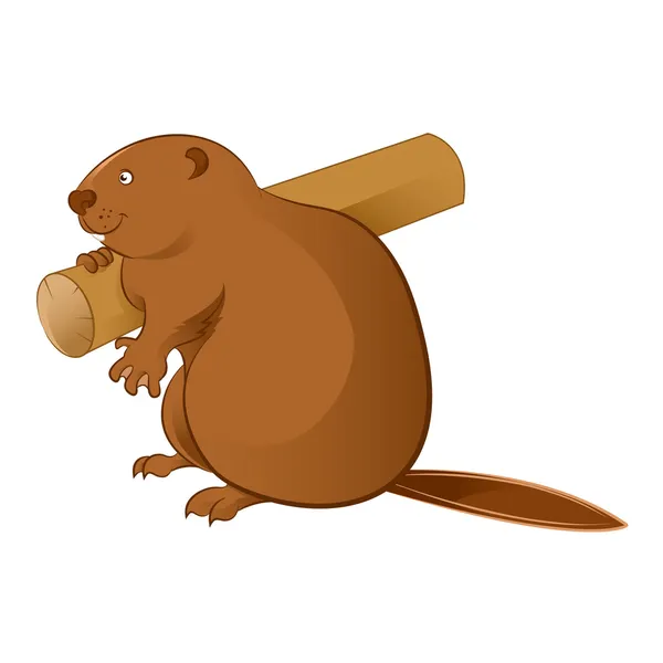 Beaver — Stock Vector