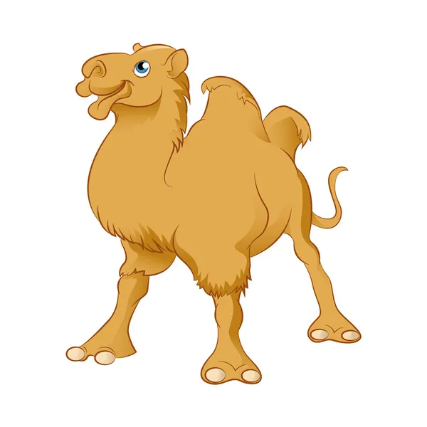 Cartoon Camel — Stock Vector