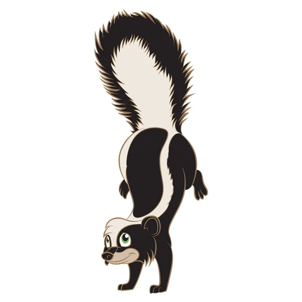 Cartoon Skunk — Stock Vector