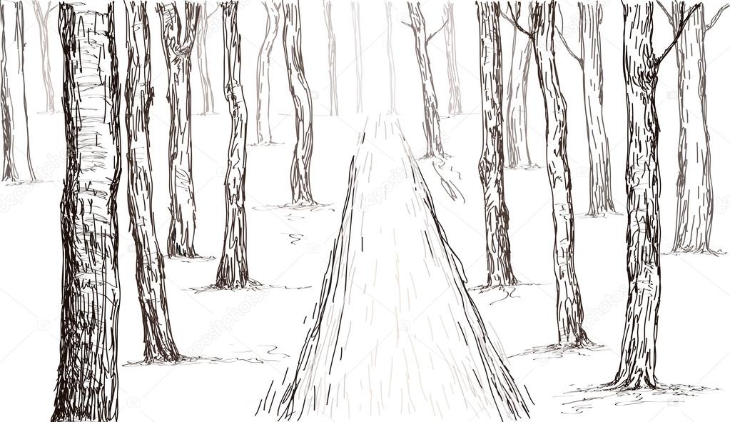forest hand drawing