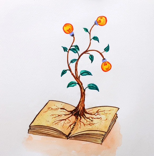 kitap fikir kavramı