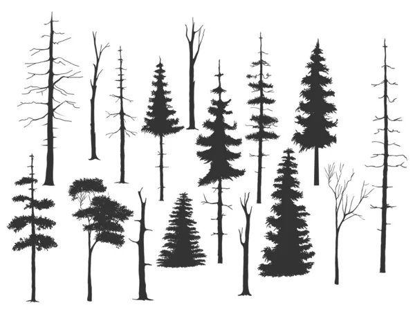 Wolnej ręki rysunek zestaw drzewa — Wektor stockowy
