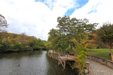 İstanbul - Türkiye Ağaç Bahçesi ya da Ağaç Bahçesi, ağaç ve çalılık gibi ağaçların yetiştirilmesine adanmış bir botanik bahçesi..