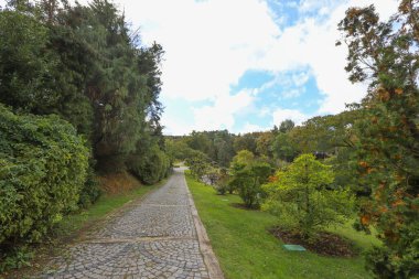 İstanbul - Türkiye Ağaç Bahçesi ya da Ağaç Bahçesi, ağaç ve çalılık gibi ağaçların yetiştirilmesine adanmış bir botanik bahçesi..