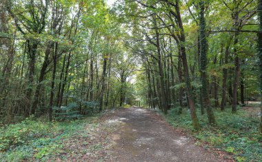 İstanbul - Türkiye Ağaç Bahçesi ya da Ağaç Bahçesi, ağaç ve çalılık gibi ağaçların yetiştirilmesine adanmış bir botanik bahçesi..