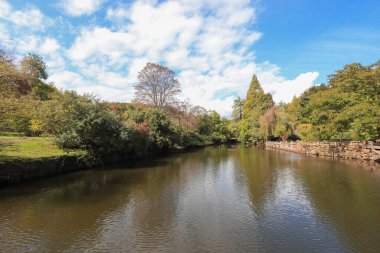 İstanbul - Türkiye Ağaç Bahçesi ya da Ağaç Bahçesi, ağaç ve çalılık gibi ağaçların yetiştirilmesine adanmış bir botanik bahçesi..