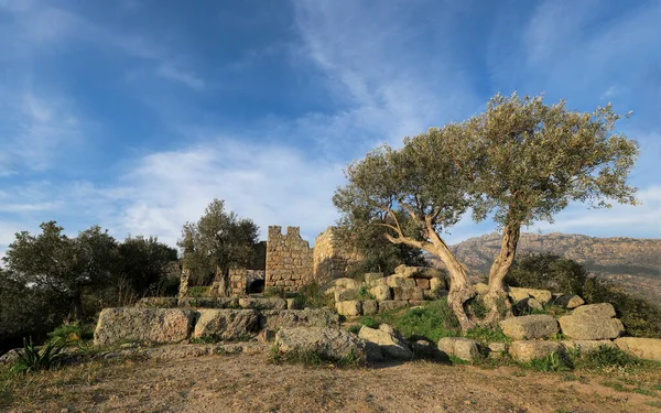 Fotoğraf Bafa Gölü 'nde çekildi.