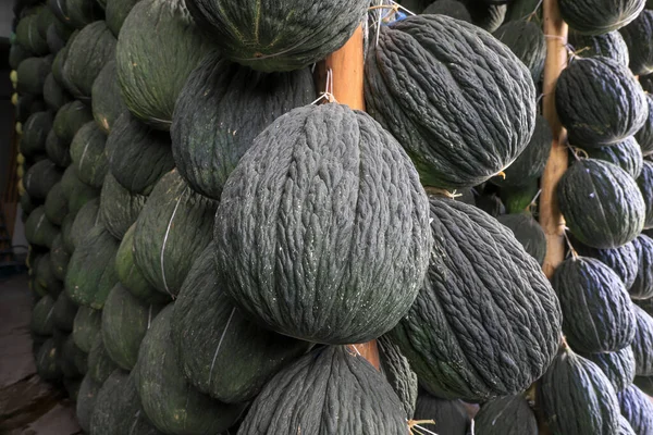 Zimowy Melon Najsłynniejszy Indyczy Melon Stonogi Zimowy Melon Bazie Słupów — Zdjęcie stockowe