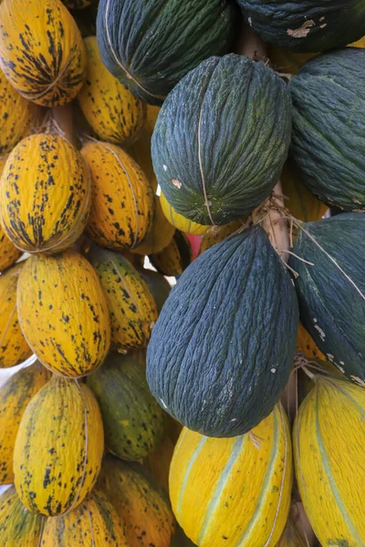 Melón Invierno Melón Ciempiés Más Famoso Turquía Melón Invierno Basado —  Fotos de Stock