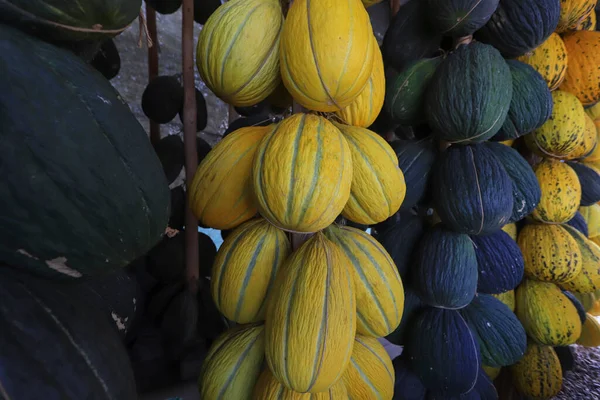 Melón Invierno Melón Ciempiés Más Famoso Turquía Melón Invierno Basado —  Fotos de Stock