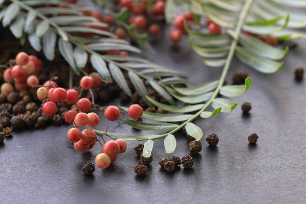Black pepper plant and black pepper seeds on gray background