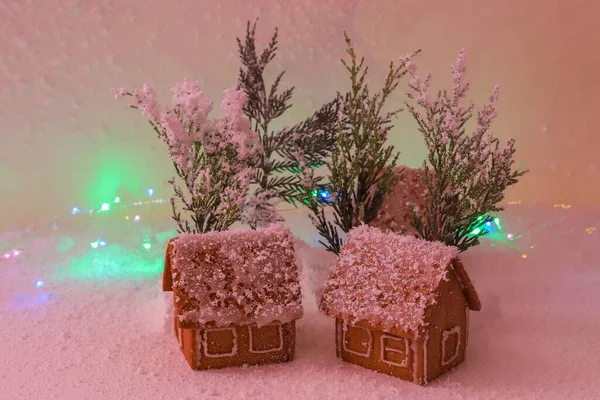 Макро Фото Імбирного Села Падаючим Снігом — стокове фото