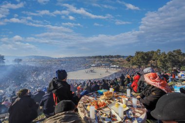 Selcuk - Izmir -Turkey Camel wrestling held on January 16, 2022, people coming for wrestling footage. Camel wrestling is a popular attraction in the Aegean region of Turkey.