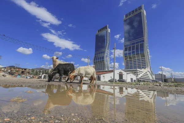 Измир Турция Апреля 2021 Года Новый Район Небоскребов Города Измир — стоковое фото