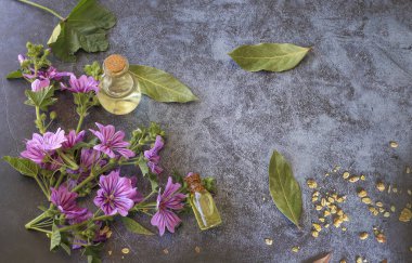 Masada Mallow (Malva sylvestris) ve şişede yağ