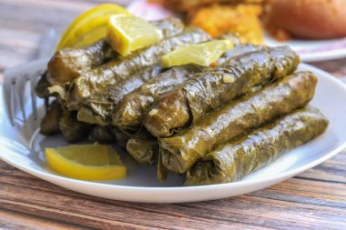 Lezzetli dolma (sarma) doldurulmuş üzüm yaprağı pilav, beyaz yoğurt sosu. Lübnan Dolma Sarması tabakta. Lübnan Türk mutfağı, Yunan ortadoğu mutfağı. (Türkçe adı: Yaprak sarma)