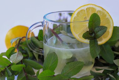 Beyaz arka planda bir demet taze nane, limon ve limon suyu. Tonik..
