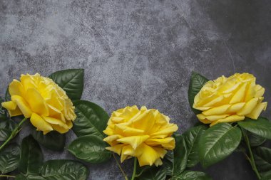 Özel durumlar, tebrik kartları. Sarı güller. Kopyalama alanı olan üst görünüm.