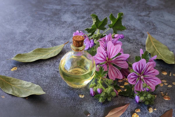 Masada Mallow (Malva sylvestris) ve şişede yağ
