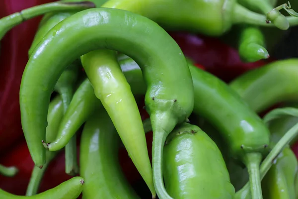 Färsk Grön Paprika Marknaden — Stockfoto