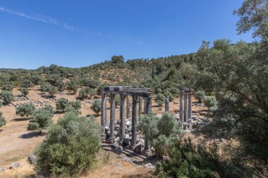 Euromos was an ancient city in Caria, Anatolia; the ruins are approximately 4 km southeast of Selimiye and 12 km northwest of Milas (the ancient Mylasa), Mugla Province, Turkey.
