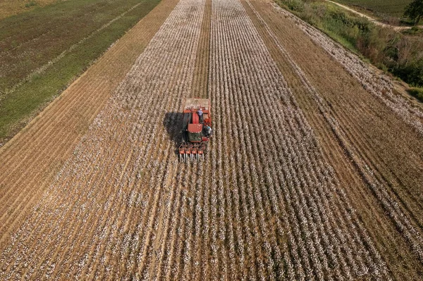 Drone footage . Cotton collecting vehicle . Cotton harvesting in Turkey / Izmir / Menemen plain
