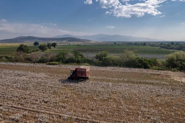 Drone footage . Cotton collecting vehicle . Cotton harvesting in Turkey - Izmir - Menemen plain