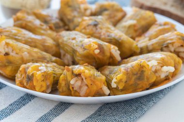 Geleneksel lezzetli Türkçe - Yunan mutfağı, Türk yemeği; doldurulmuş kabak çiçekleri (Türkçe adı; kabak cicegi dolmasi))