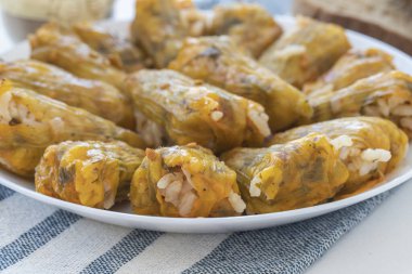 Geleneksel lezzetli Türkçe - Yunan mutfağı, Türk yemeği; doldurulmuş kabak çiçekleri (Türkçe adı; kabak cicegi dolmasi))