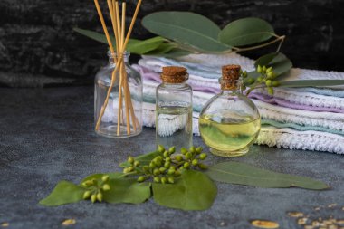 Okaliptüs bitkisi yaprakları, tohumlar ve okaliptüs yağı şişede siyah arka planda..