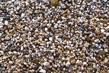 Çakıl taşı plajı