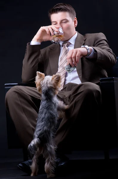 Jeune homme d'affaires assis sur un canapé avec une boisson alcoolisée et un chien — Photo