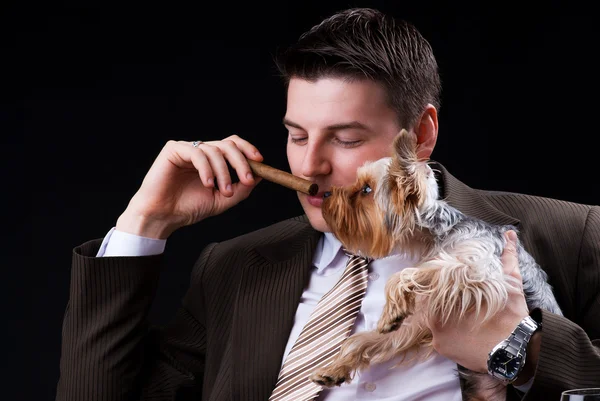 Young businessman sitting on the sofa with a cigar and a dog — Stock Photo, Image