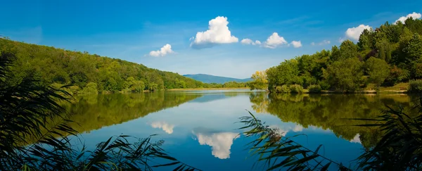 Lac forestier d'été avec reflet miroir — Photo