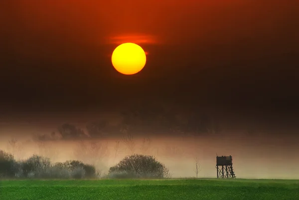 Solnedgång över fältet — Stockfoto