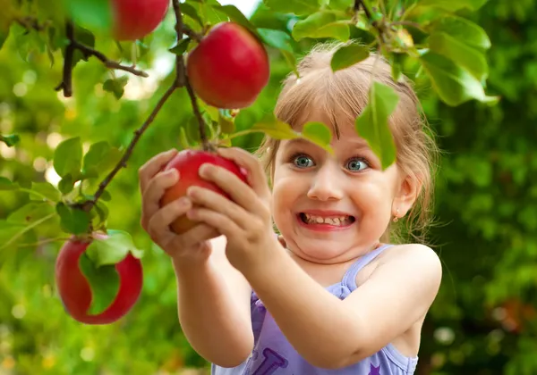 Girl removes the apple from the tree — Stock Photo, Image