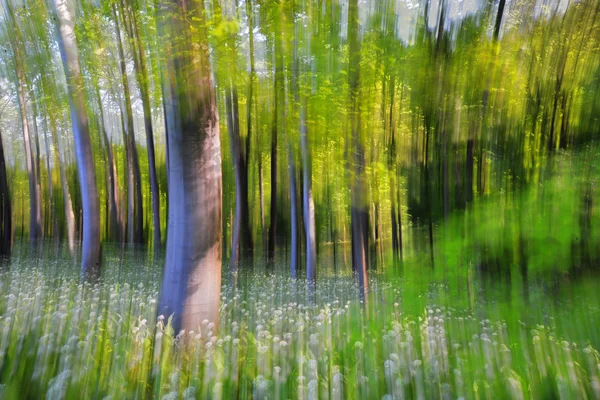 Forêt abstraite — Photo