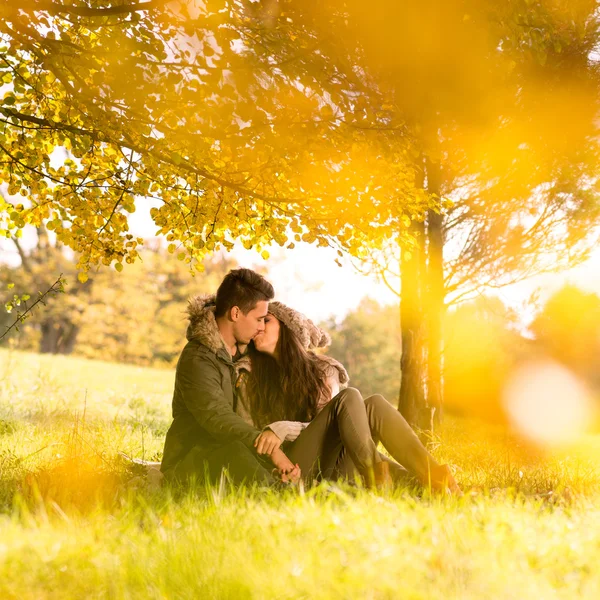 ツリーの下の公園で情熱的なキス — ストック写真