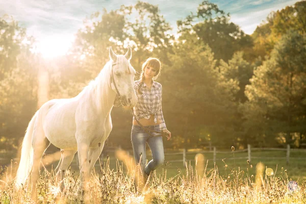 Lány egy lóval — Stock Fotó