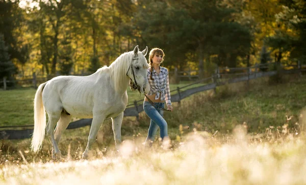 Women with white horse — Stock Photo, Image