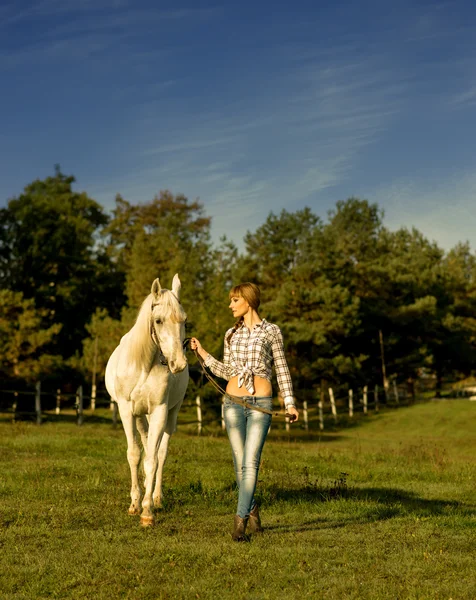 Mulher andando sobre um cavalo branco no rancho — Fotografia de Stock