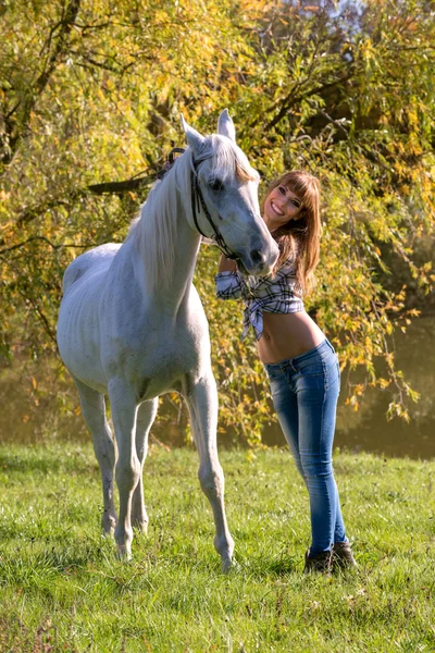 Fehér ló, és a nő — Stock Fotó