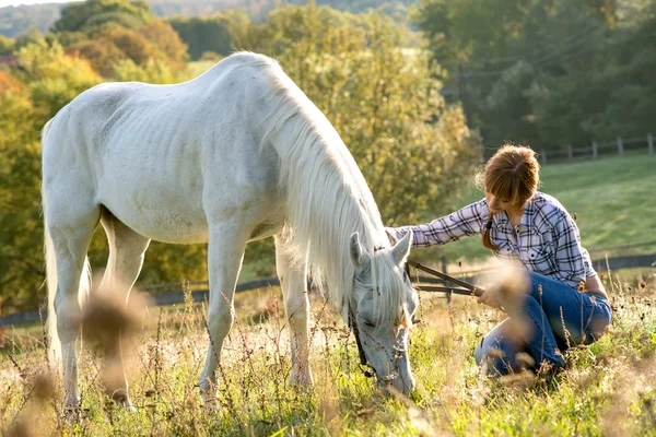 Mulheres com cavalo branco — Fotografia de Stock